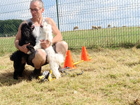 Sorties sur parcours des Chiens